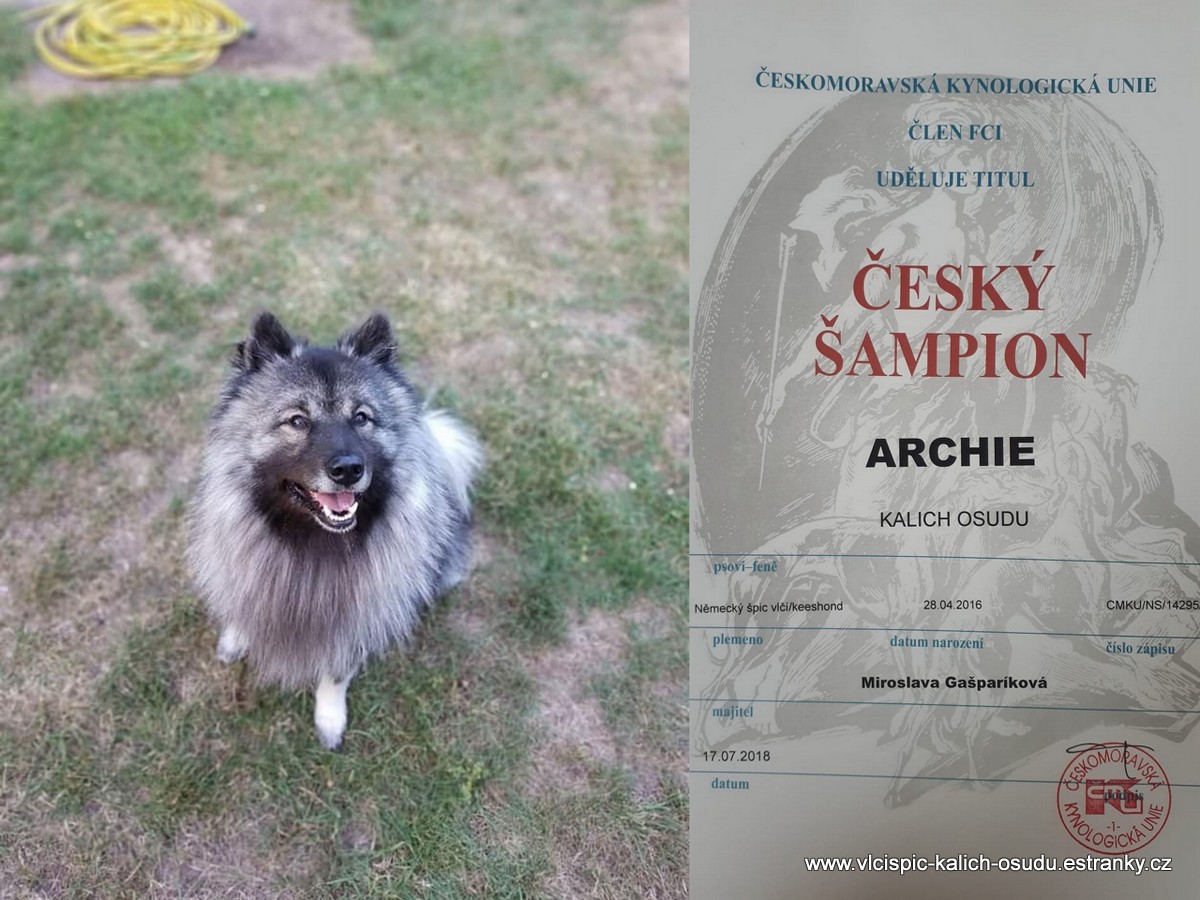 Archie Český šampion