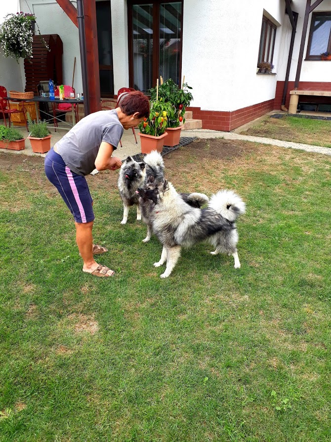 received_858792477651403