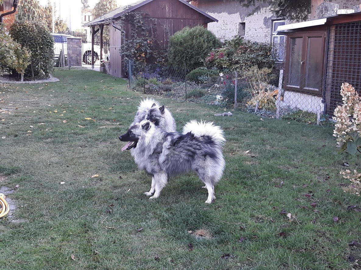 20181014_083546