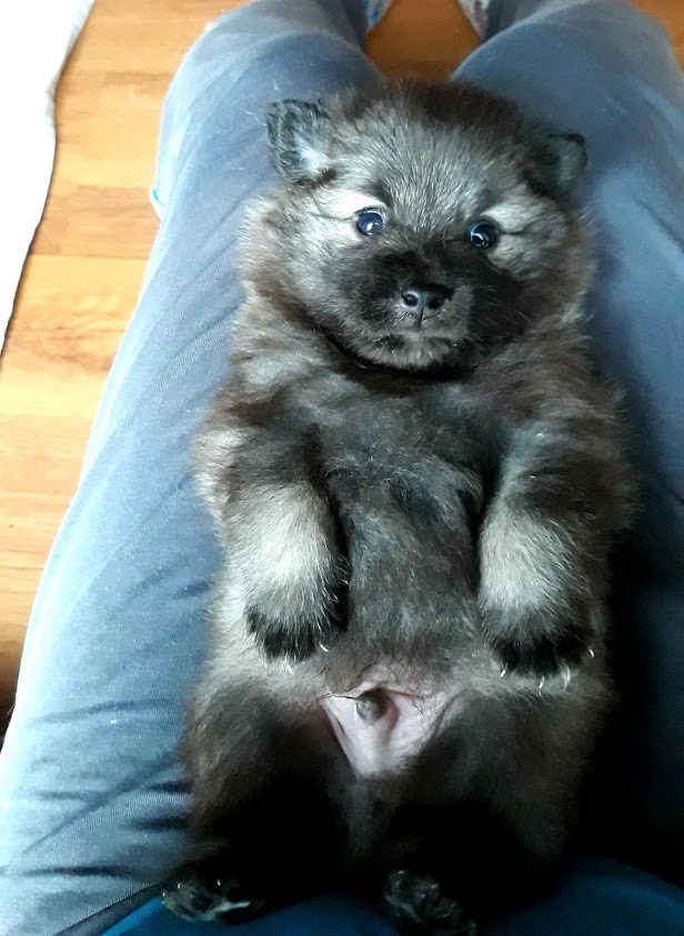 Cassi 4.týden 
