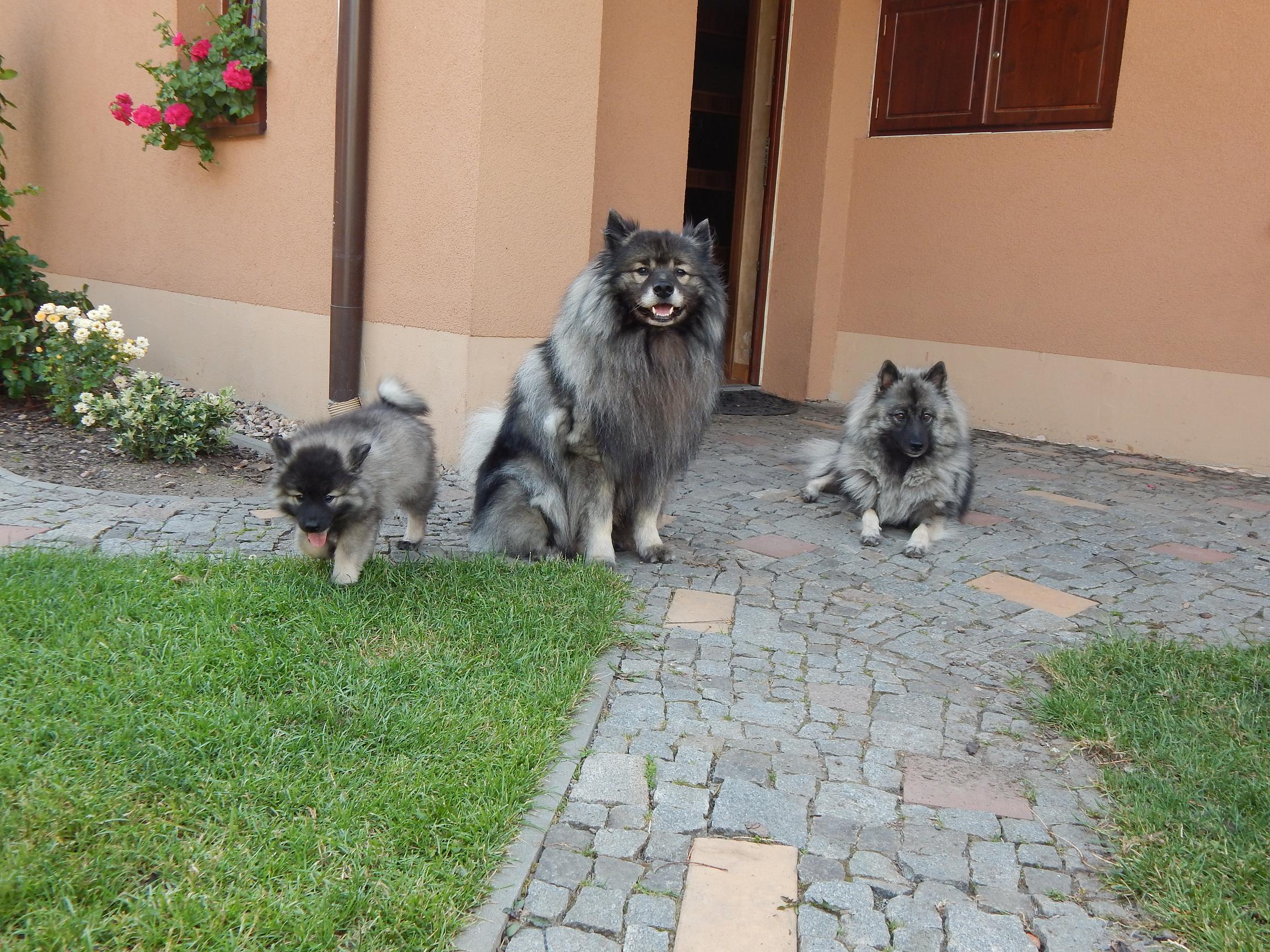 DSCN5049