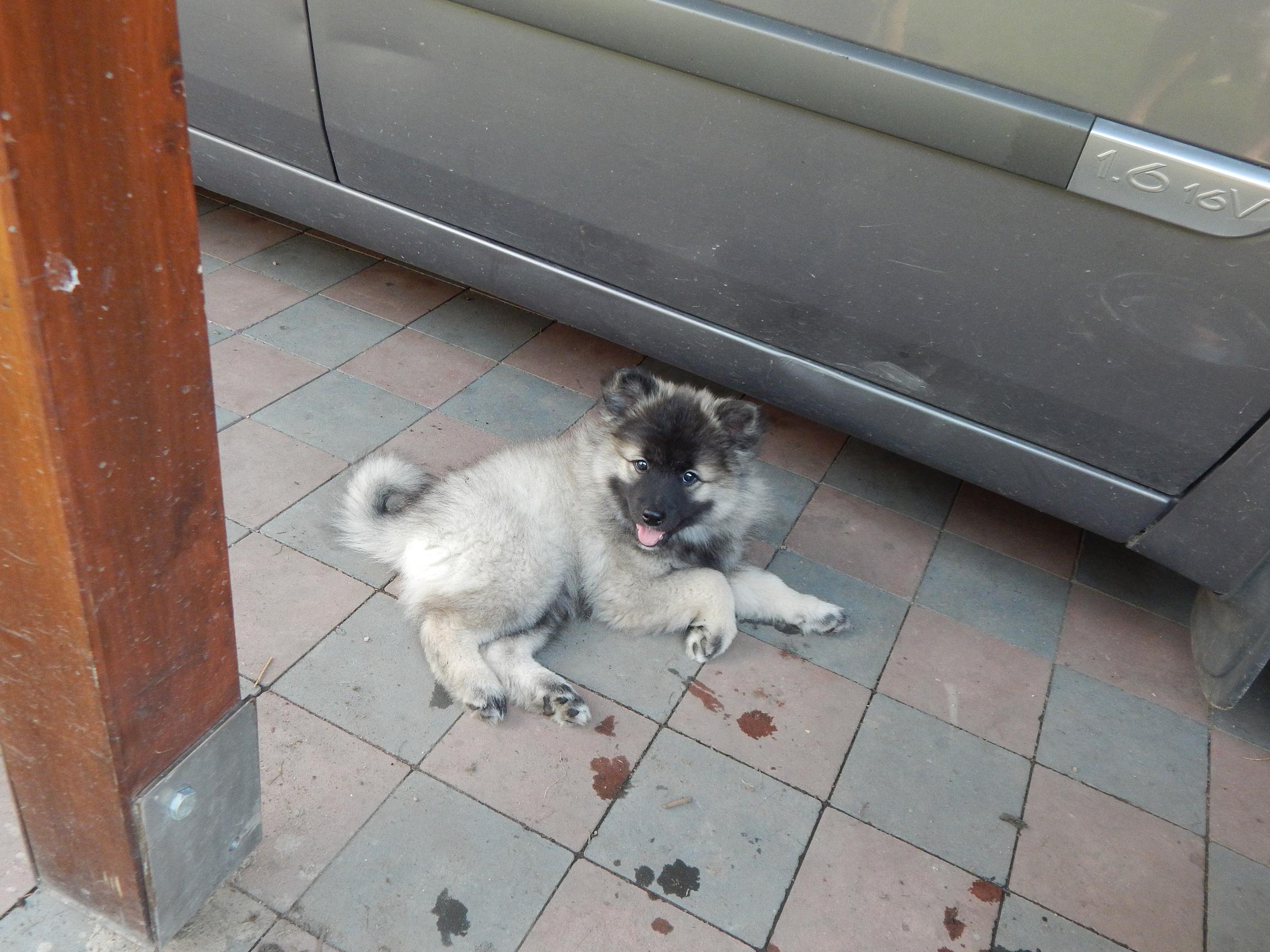 DSCN5084
