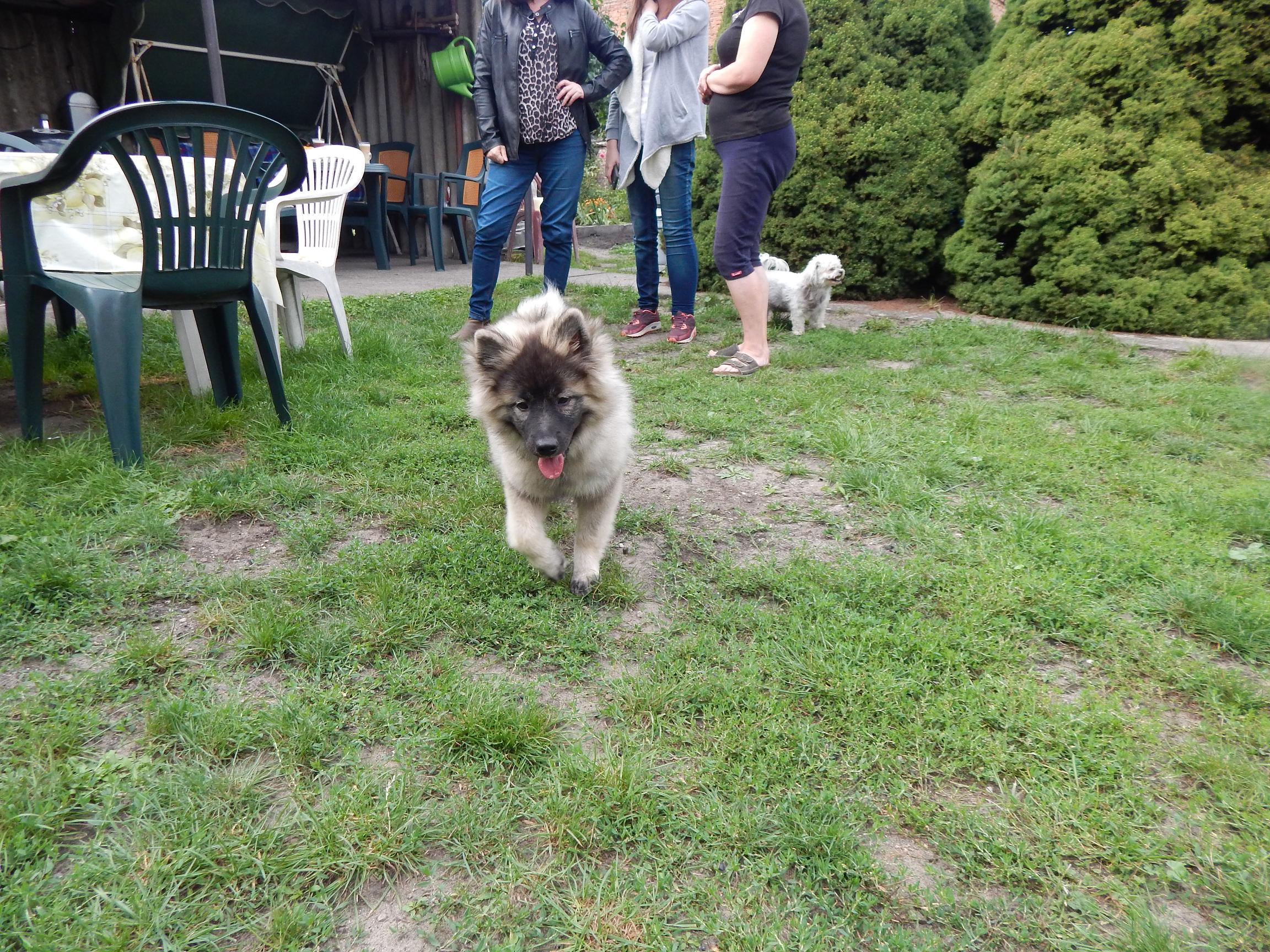 DSCN5364