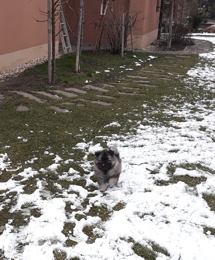 20180208_163403